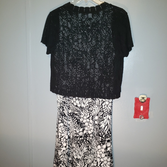 Kim Roger's Lady's Dress Set with Shortsleeved Sweater - Picture 6 of 6